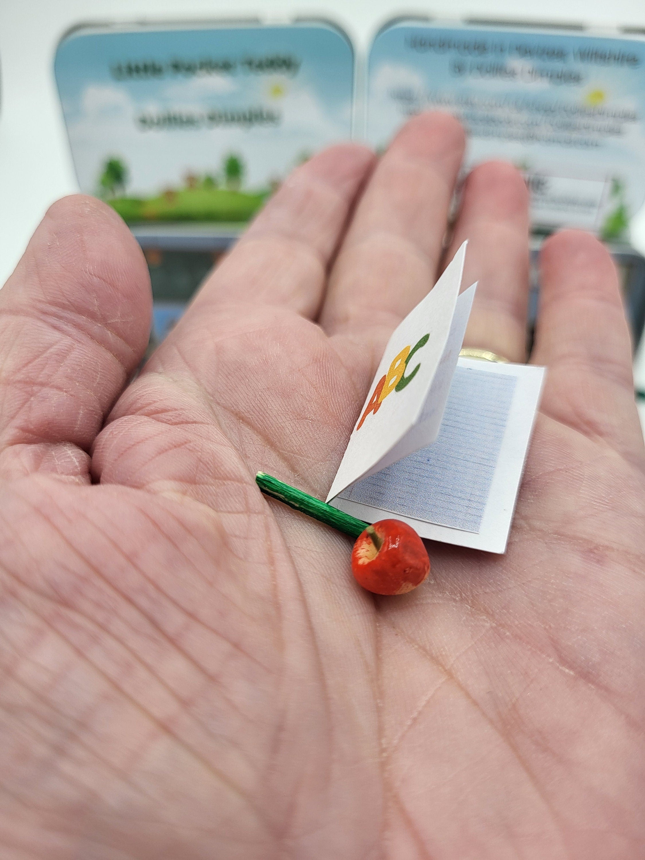 First Day at School Teddy Pocket Tin - Memory Keepsake