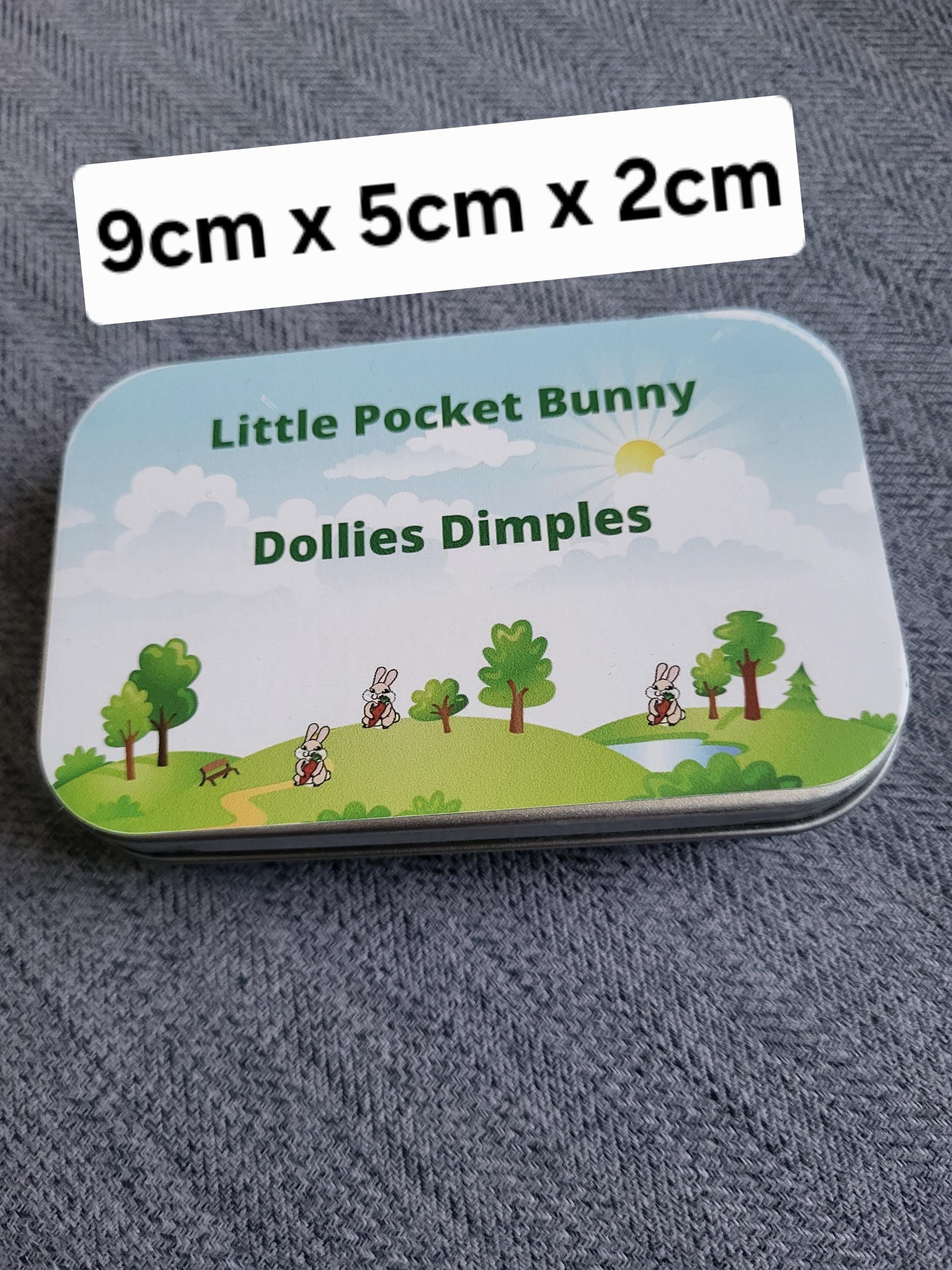 Pocket Teddy Bear in Tin: role play gift