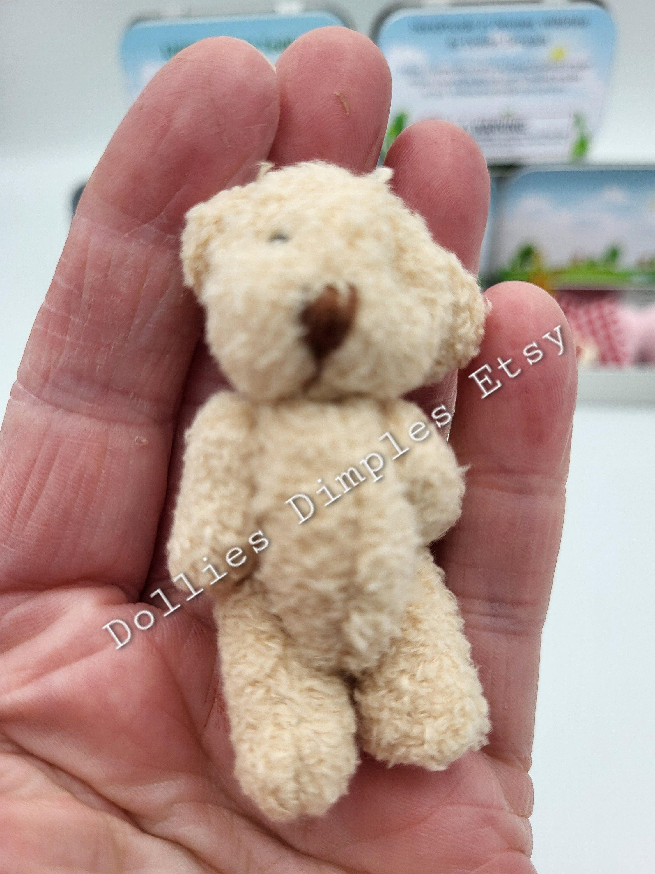 Pocket Teddy Bear Picnic in a Tin: Miniature Plush Gift