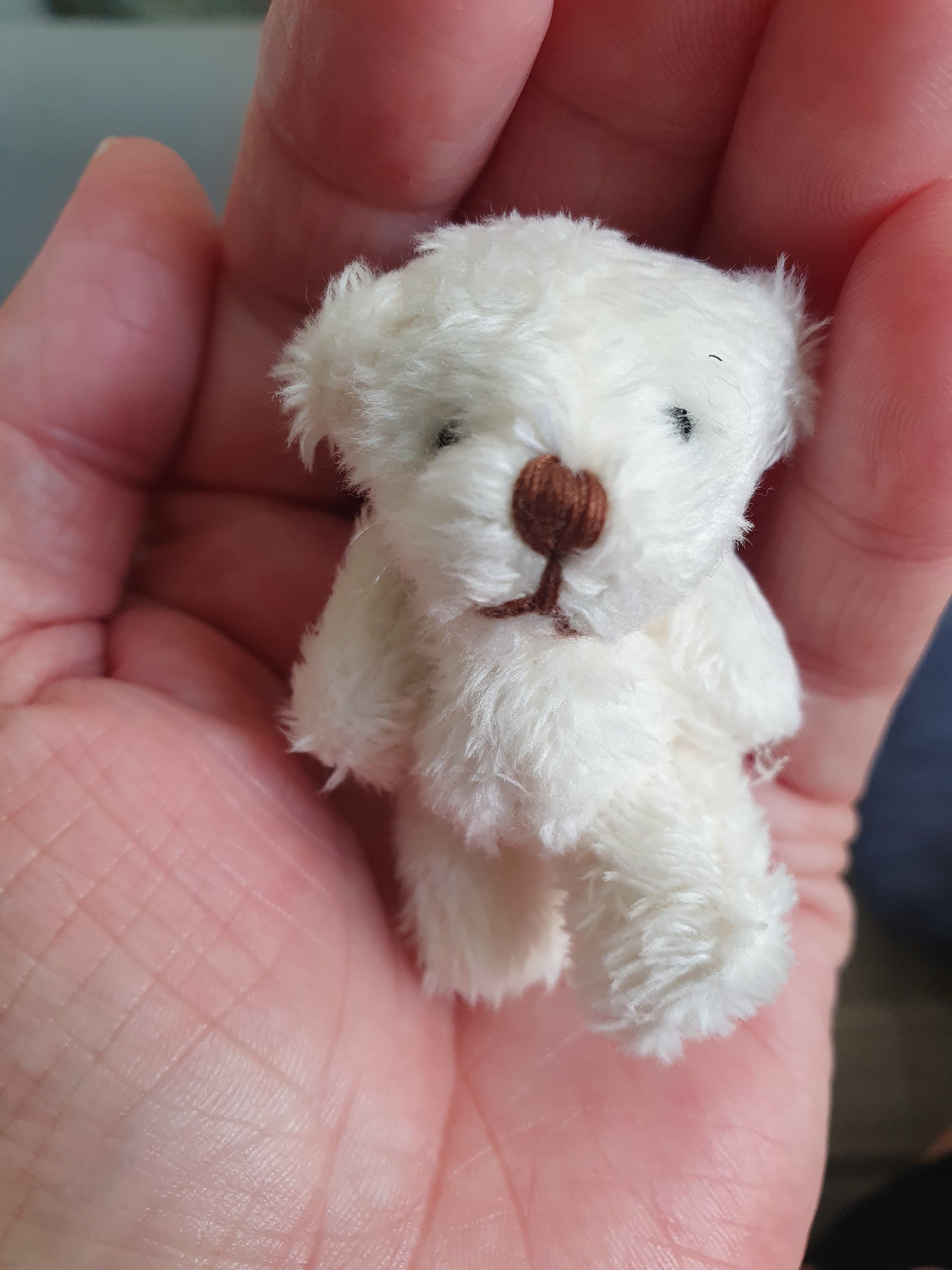 Pocket Teddy Bear Gift Tin: winter walk hiker with flask and sandwich